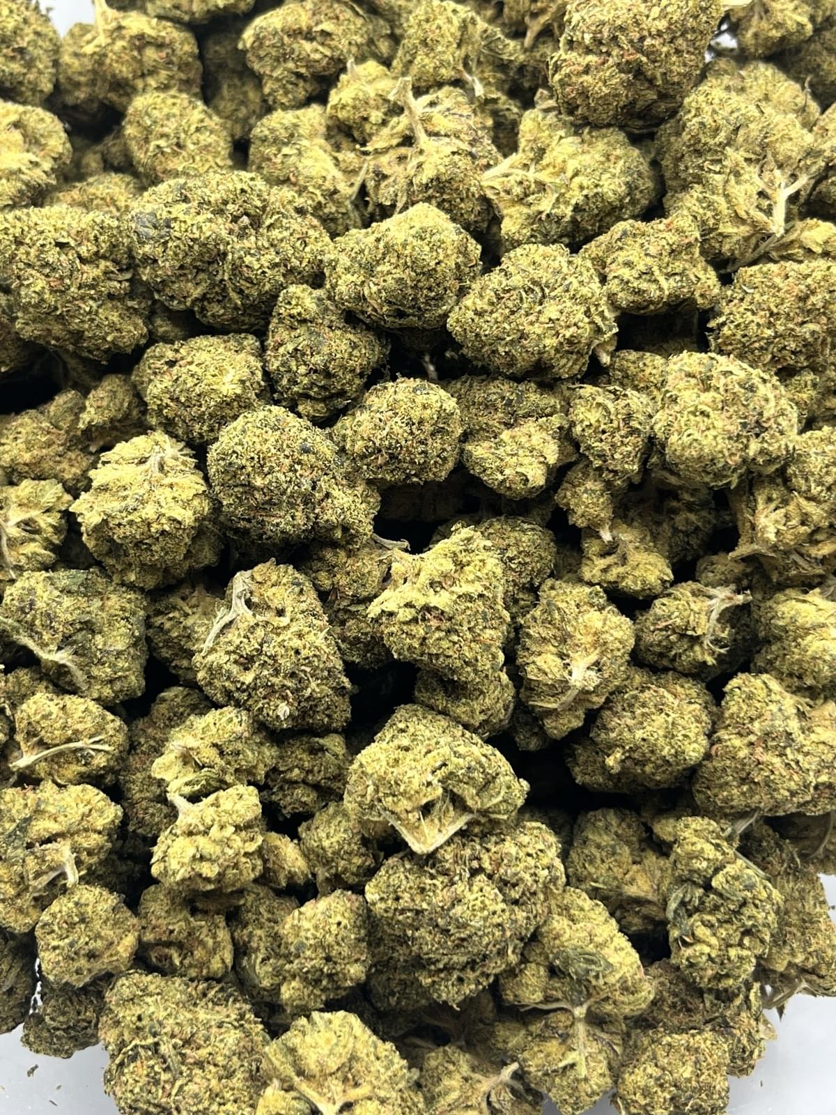 Musk Melon - Image 3